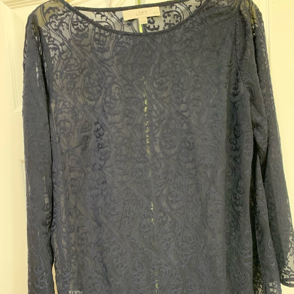 Long sleeved navy sheer lace pullover. The color is a true Navy blue.